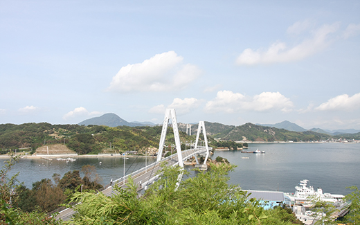 愛媛県の東北端に位置し、広島県境に接する弓削大橋の写真です。全長980ｍあります。