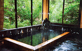 古くから湯治場として愛されてきた温泉「小薮温泉」の浴場の写真です。